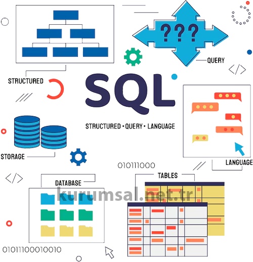 Sql Generate Script Yedekleme